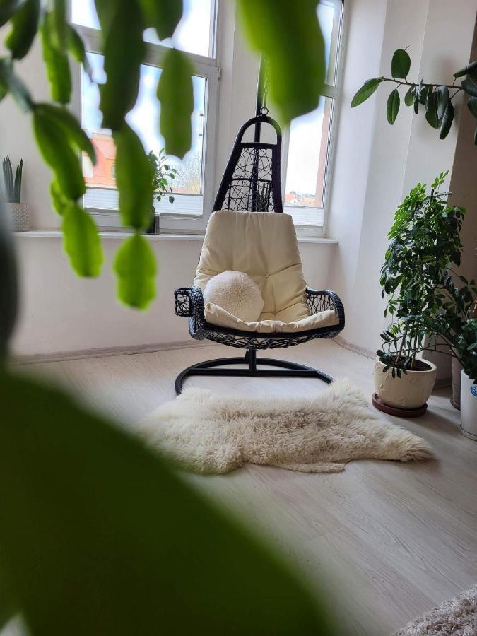 Cozy 2 Room Apartment In The Oldtown Of קלייפדה מראה חיצוני תמונה